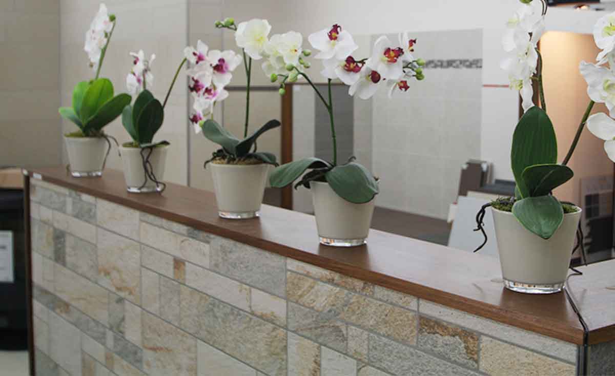 Moderne Fliesenausstellung: Fliesen Wittmund